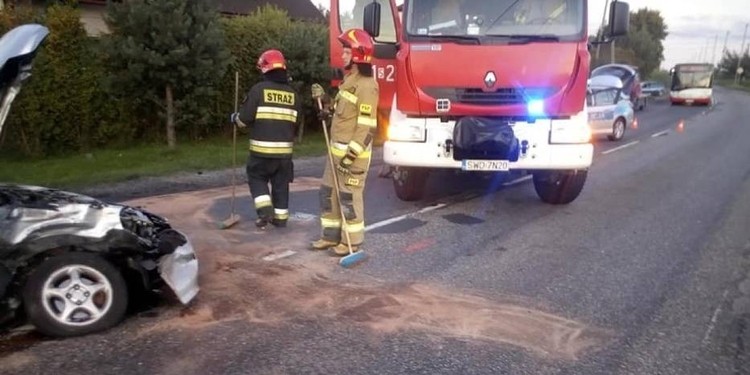 Mszana. Pies wbiegł na ulicę, doszło do wypadku, Wodzisław Śląski i okolice-Informacje drogowe 24H