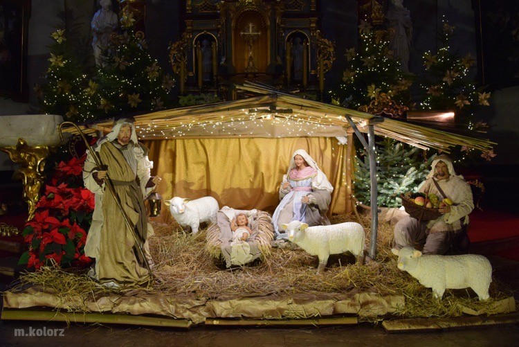 Tradycja szopki bożonarodzeniowej - Pszów, Marek Kolorz