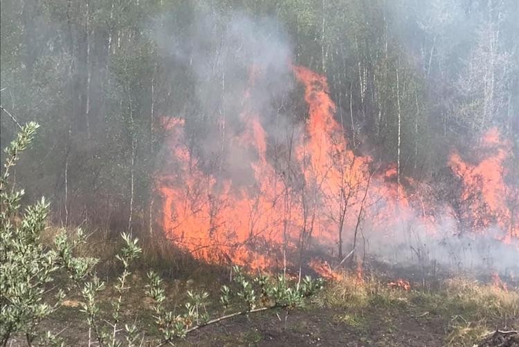 Wodzisławskich strażaków prześladują płonące trawy! To prawdopodobnie podpalenia, FB: Mariusz Blazy