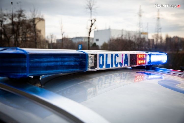 Hybrydy zasilą flotę policji w Wodzisławiu, Śląska Policja