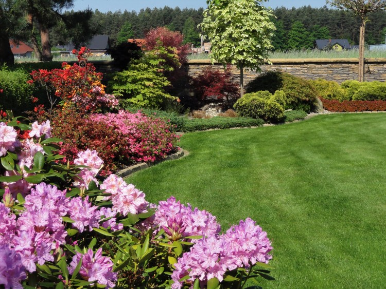 Jak prawidłowo zadbać o trawnik, by wyglądał zjawiskowo?, Materiał Partnera