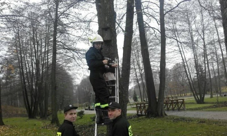 Strażacy z OSP Mszana sprawdzili budki lęgowe w parku, UM Mszana