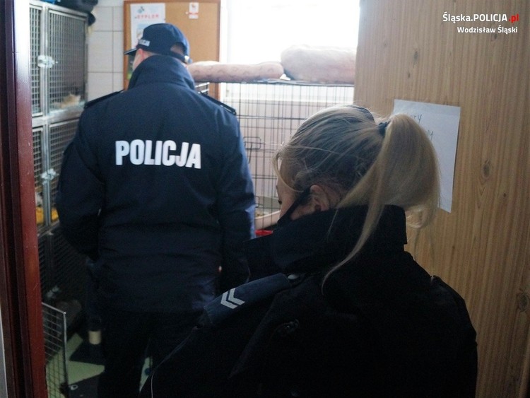Policjanci zorganizowali zbiórkę dla bezdomnych zwierząt, Policja Wodzisław Śląski