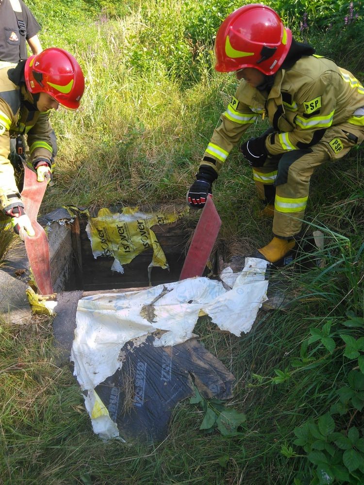 Gorzyce: Wpadła do wykopu. Uratowali ją strażacy, KM PSP Wodzisław