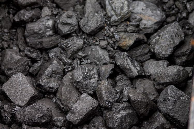 Wnioski o zakup węgla do 10 grudnia. Znamy cenę opału, UM Wodzisław