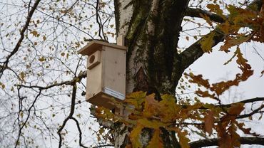 „Ćwierkający Wodzisław”: w Rodzinnym Parku Rozrywki pojawiły się budki dla ptaków