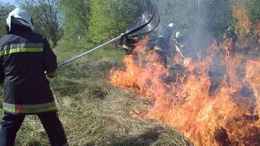 Strażacy z Wodzisławia apelują: nie wypalaj traw!