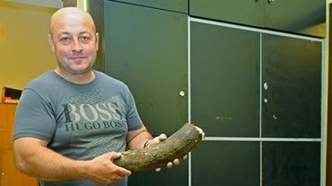 Kolejne szczątki mamutów zasiliły zbiory Muzeum w Wodzisławiu