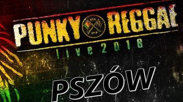 Farben Lehre, Gutek i Big Cyc na Punky Reggae live w Pszowie