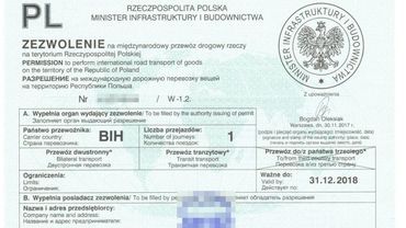 Godów: bośniacki kierowca sfałszował dokumenty