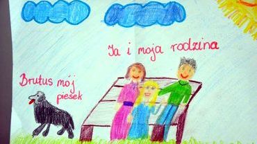 Współpraca instytucji i osób działających na rzecz dziecka i rodziny w Powiecie Wodzisławskim
