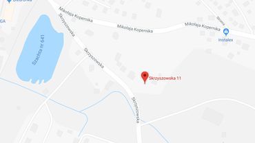 Śmierć 55-latka w lesie w Wodzisławiu. Morderstwo?