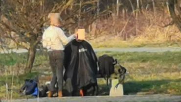 Częstochowa: fryzjerka obcinała w parku