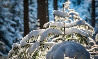 Ostrzeżenie o opadach śniegu i przymrozkach