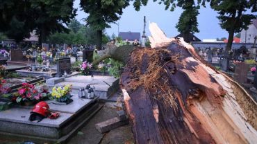 Uszkodzone pomniki na cmentarzu w Pszowie, powalone drzewa i uszkodzone dachy po wczorajszej nawałnicy