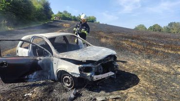Pożar w Mszanie. Spłonął samochód i zboże