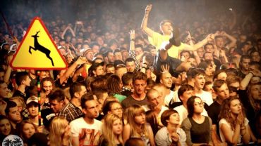 Tak mieszkańcy bawili się na festiwalu reggae w Wodzisławiu. Dzień 1