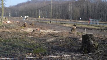 Prace rozbiórkowe i wycinka drzew na rogatkach Radlina