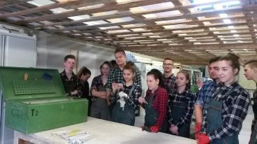 Młodzi budowlańcy z Wodzisławia na praktykach we Frankfurcie