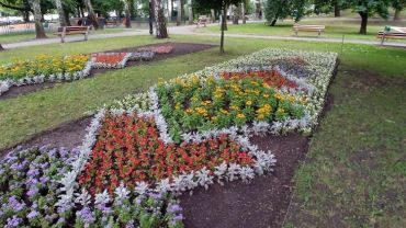 Dywany kwiatowe w Parku Miejskim