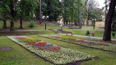 Dywany kwiatowe w Parku Miejskim w Wodzisławiu Śl.