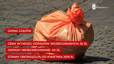 Drastycznie rosną ceny odbioru śmieci. Ile płacą mieszkańcy powiatu wodzisławskiego?