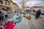 Jarmark staroci w Wodzisławiu Śląskim. Zobaczcie zdjęcia! [GALERIA]