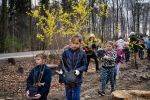 Uczniowie, mieszkańcy i leśnicy sadzili las w Radlinie, 