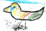 W WDK Czyżowice wybrano najpiękniejsze ptasie obrazy, materiały prasowe WDK Czyżowice