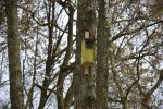 „Ćwierkający Wodzisław”: w Rodzinnym Parku Rozrywki pojawiły się budki dla ptaków, UM Wodzisławia