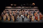 Słowacka orkiestra smyczkowa wystąpi w Czyżowicach, materiały prasowe