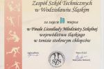 Reprezentanci ZST na podium wojewódzkich mistrzostw w tenisie stołowym!, materiały prasowe ZST Wodzisław Śląski