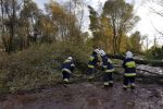 Orkan Grzegorz siał spustoszenie. Strażacy wyjeżdżali kilkadziesiąt razy, OSP Lubomia