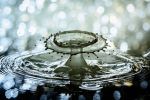 Wodzisław Śl.: Bierzecie wodę ze źródełek? Lepiej to przeczytajcie, pixabay
