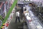 Czyżowice. Kradzieże w sklepie budowlanym - film, Facebook.com/Mrówka Czyżowice