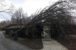 Powiat: zerwane dachy i połamane drzewa po nocnej nawałnicy, facebook.com: przez Jacek Bogdanowicz