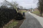 Powiat: zerwane dachy i połamane drzewa po nocnej nawałnicy, facebook.com: przez Jacek Bogdanowicz