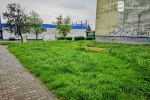 Zapuszczone trawniki w Wodzisławiu. Miasto ma problem z zielenią?, 