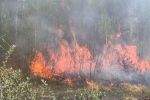 Wodzisławskich strażaków prześladują płonące trawy! To prawdopodobnie podpalenia, FB: Mariusz Blazy