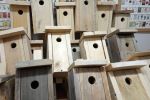 Zrobili 40 ekobudek lęgowych dla ptaków, Starostwo Powiatowe