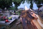 Uszkodzone pomniki na cmentarzu w Pszowie, powalone drzewa i uszkodzone dachy po wczorajszej nawałnicy, Marek Kolorz