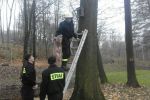 Strażacy z OSP Mszana sprawdzili budki lęgowe w parku, UM Mszana