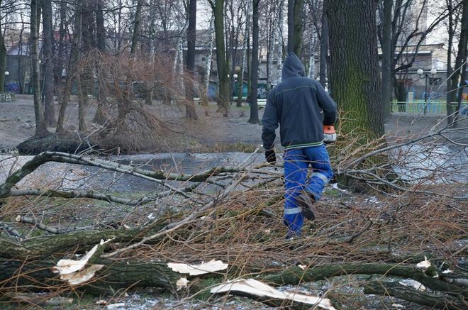 Wodzisław: nocna wichura zniszczyła Park Miejski, UM Wodzisławia