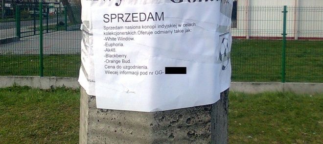 Mieszkańcy osiedla 1 Maja w Wodzisławiu alarmują. Na słupach pojawiła się reklama środków odurzających