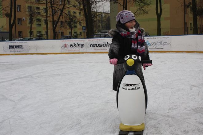 Wodzisław: specjalny pingwinek na lodowisku, UM Wodzisławia