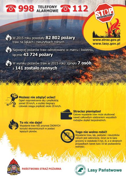 Prawdziwa plaga ostatnich dni. Wodzisławscy strażacy walczą z pożarami traw, Straż pożarna 