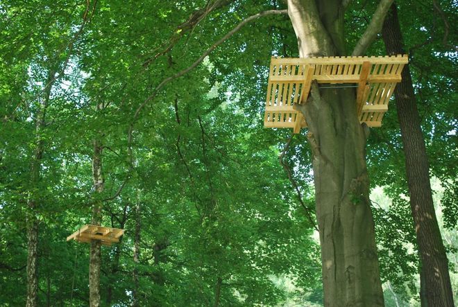 Wodzisław: budują park linowy, archiwum